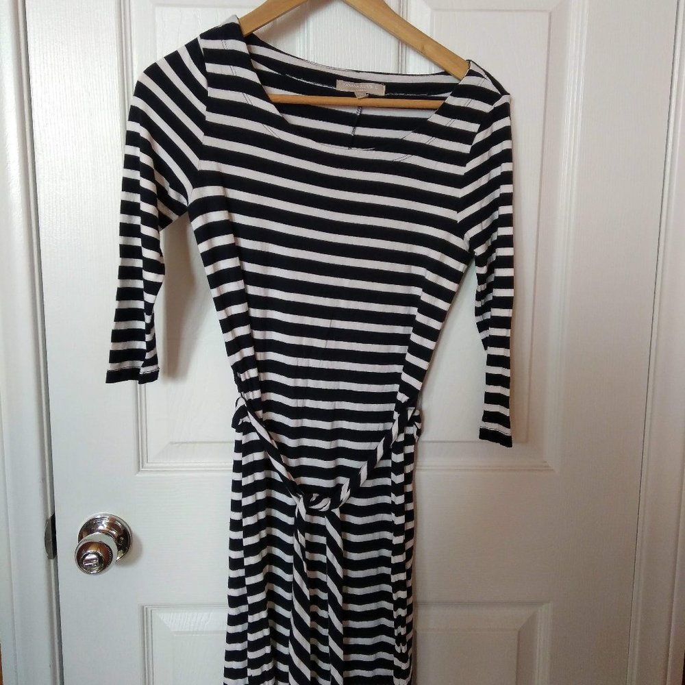 Banana Republic Dress Petite XS, Navy and White
